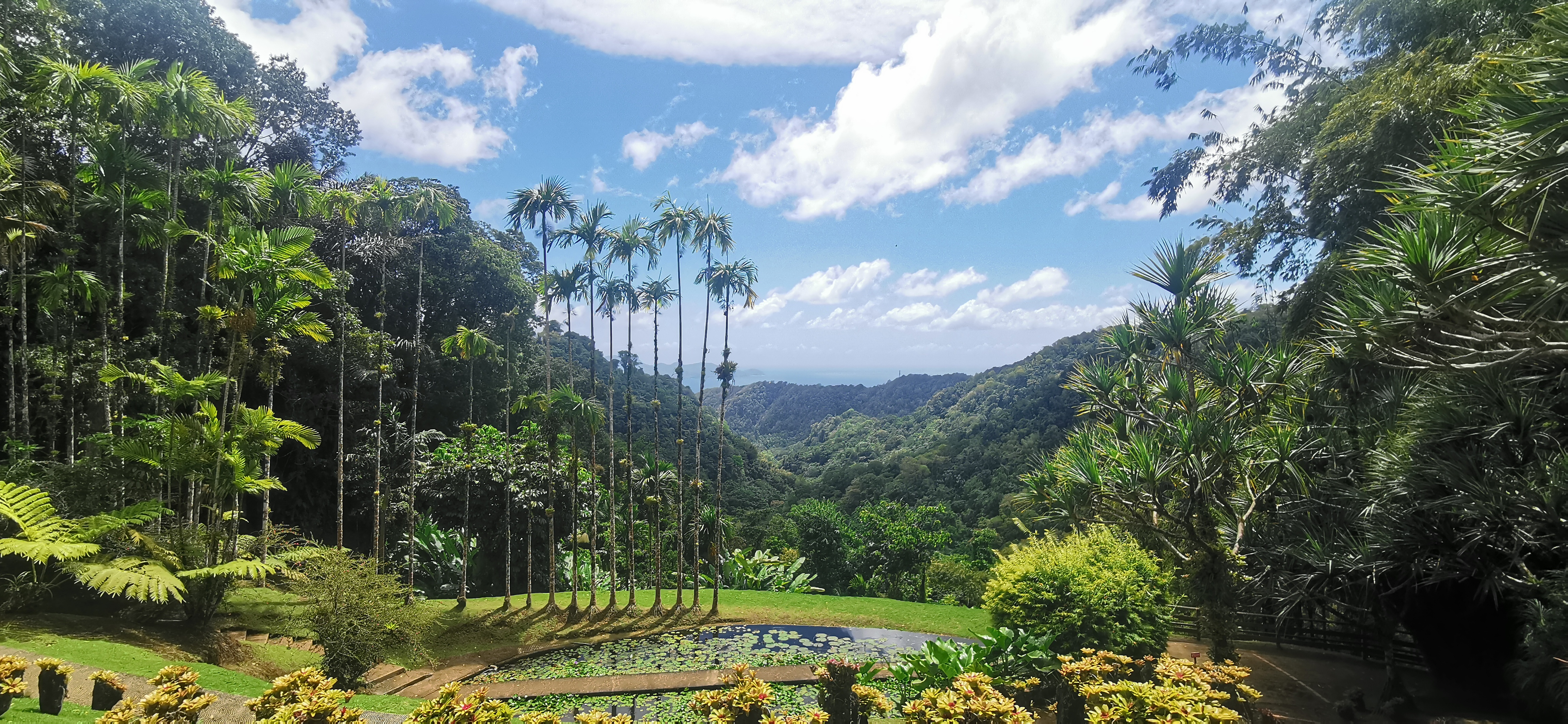Jardin Balata - Martinique